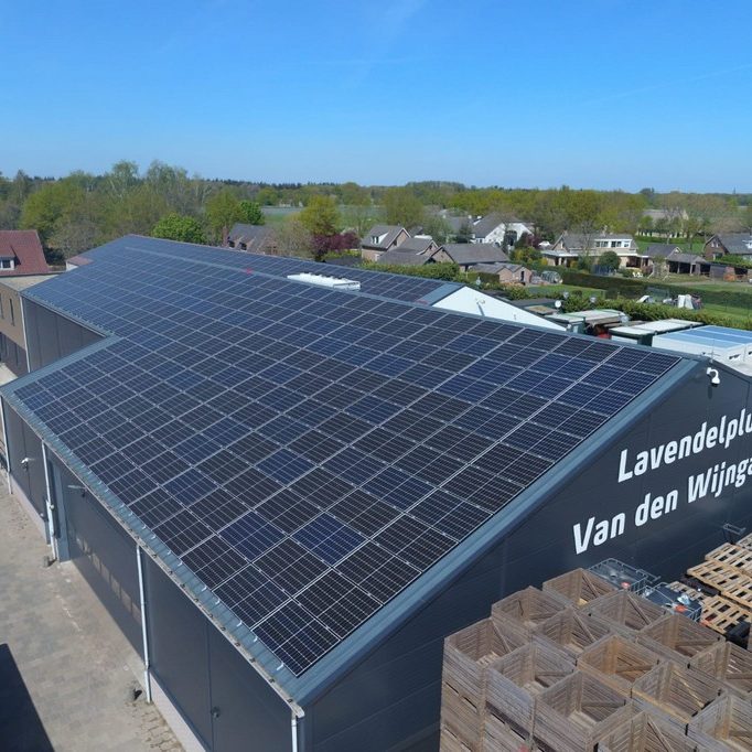 van den wijngaart ulvenhout (4)