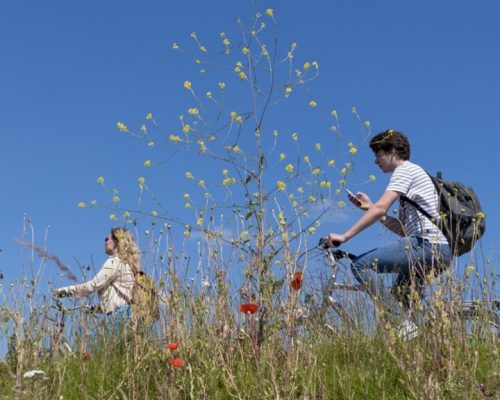ANP-zonnig-voorjaar-fiets ANP-zonnig-voorjaar-fiets