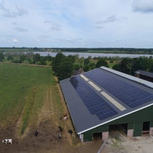 Scheltinga in Oldeholtwolde (1)