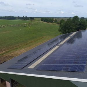 Scheltinga in Oldeholtwolde (2)