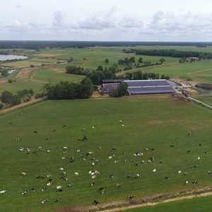 Scheltinga in Oldeholtwolde (3)