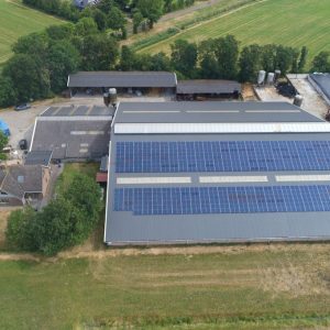 Scheltinga in Oldeholtwolde (4)