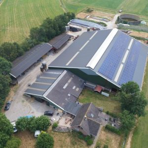 Scheltinga in Oldeholtwolde (5)